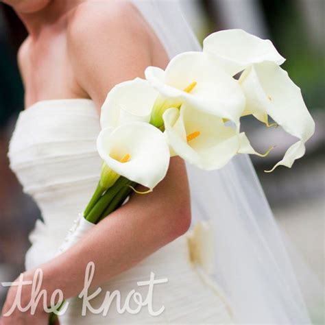 Long Stemmed Calla Lily Bouquet Calla Lily Bridal Bouquet Lily