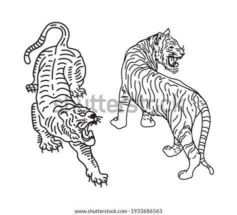 Tigers Line Art Vector Illustrations Designers Stock Vector Royalty
