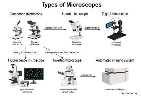 😝 Scanning Electron Microscope How It Works A Brief Introduction To