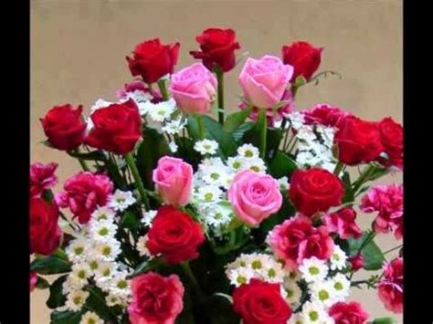 I fiori, una delle cose più belle e poetiche che esistano al da omaggiare; Buon Compleanno Paola 21/12/1975 - YouTube