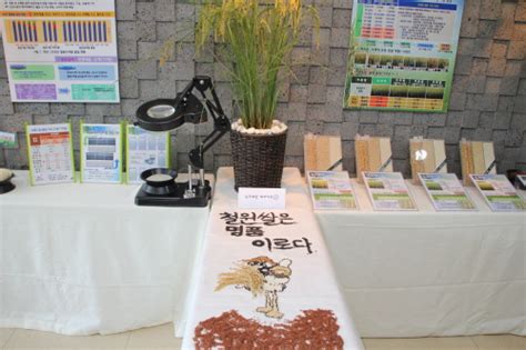 변호사, 해외변호사, 서울교통공사 전문업무직(사내변호사) 공개 외에도 277 건 이상의 변호사 관련 일자리가 indeed.com에 있습니다! 철원뉴스 | 철원인터넷뉴스