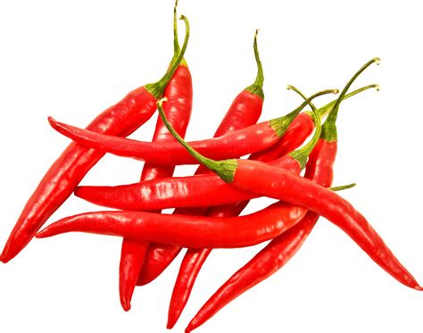 The Science Of A Chilli The Oxford Scientist