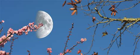 Il Cielo Di Marzo Coelum Astronomia