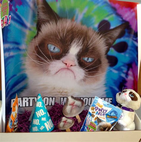 The Terrible Twos Come To Grumpy Cat Lets Help Him Celebrate Against