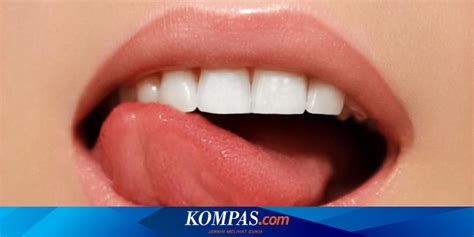 Bagaimana Cara Mengatasi Mulut Kering Diskusi Kesehatan Gigi