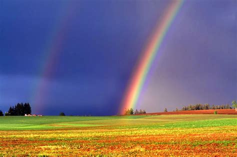 Download Beautiful Rainbow On A Field Wallpaper By Dannyh