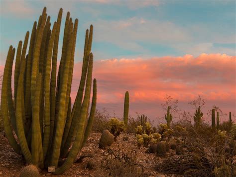 Beautiful Phoenix Arizona Sunset Arizona Sunsets Arizona State Parks
