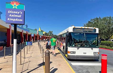 Your Complete Guide To Disney World Transportation Options