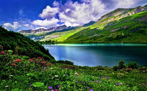 Swiss Nature Wallpapers Top Free Swiss Nature Backgrounds