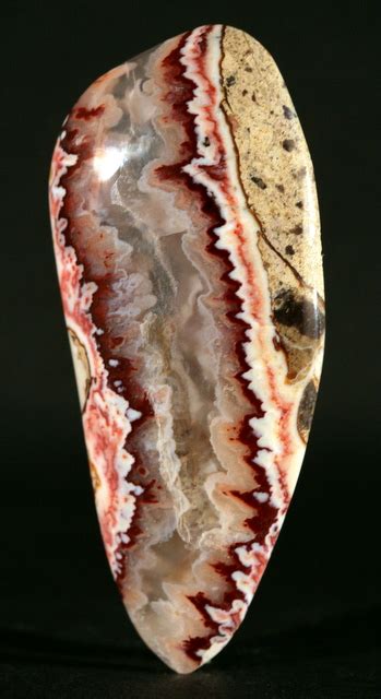 Forest Fire Plume Agate Idaho Rock N` Summer Collection Flickr