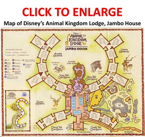 Review Disneys Animal Kingdom Villas Jambo House