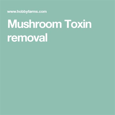 Mushroom Toxin Removal Stuffed Mushrooms Fermentation How To Remove