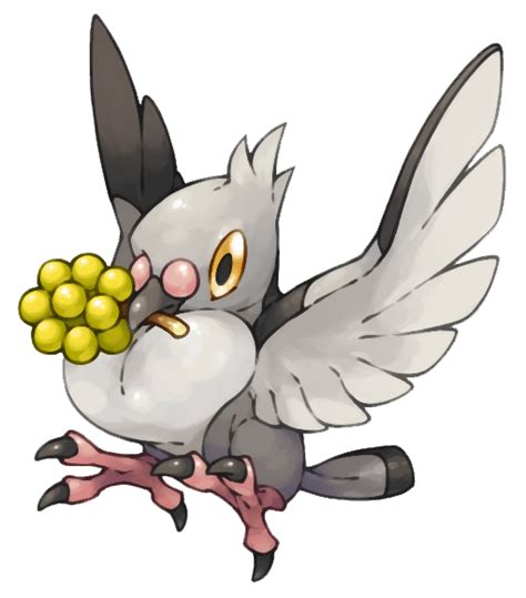 Pidove Pokemon Png Photos Png Mart