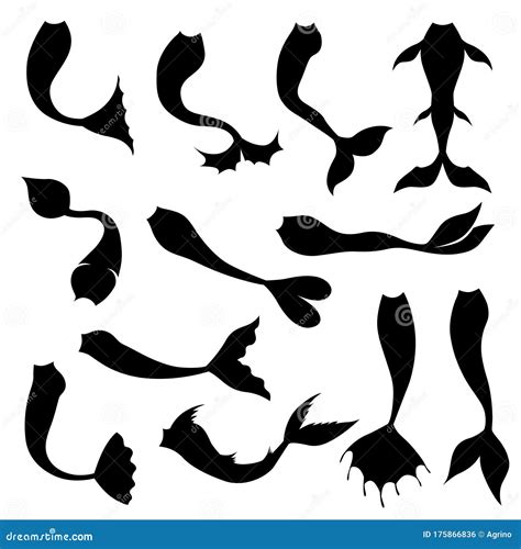Mermaid Tails Vector Graphic Illustration 173892309