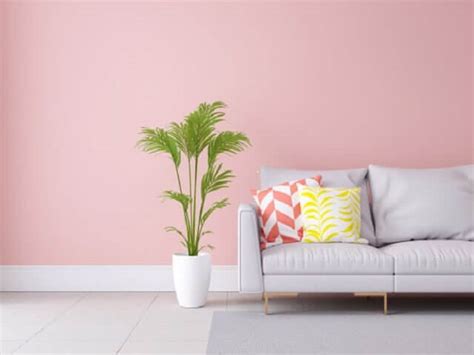 1 wallpaper wallpaper warna pink. 55+ Trend Terpopuler Cat Rumah Ungu Pastel