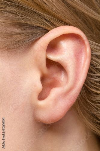 Detail Of The Head With Female Human Ear Close Up Stock Photo And