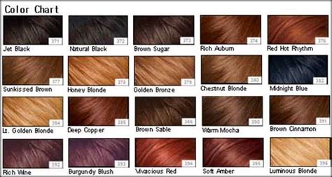 Auburn Hair Color Dye Hair Color Chart Bronze Hair Color Brown Hair