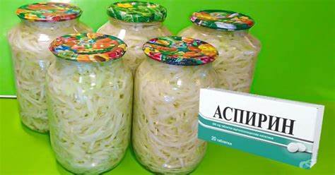 Свежая капуста для диеты Свежая капуста на зиму в банках: рецепт заготовки - Со Вкусом Свежая капуста на зиму в банках: рецепт заготовки - Со Вкусом Свежая капуста для диеты