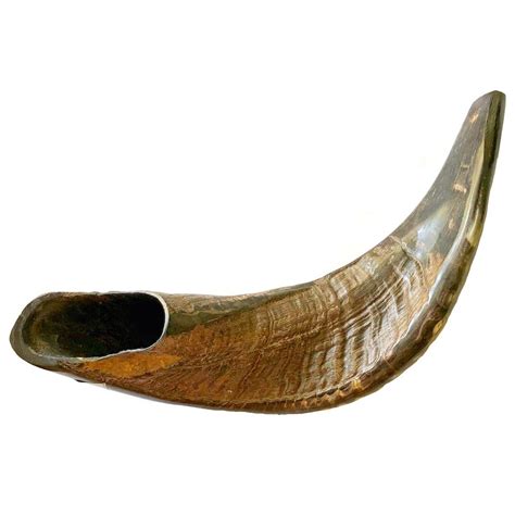 Classical Rams Horn Shofar Natural Brown Palmy Bird