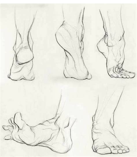 Como Dibujar Pies Anatomy Art Human Figure Drawing Anatomy Sketches