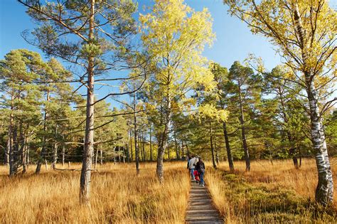Wenn sie erfahrungen mit diesem unternehmen gesammelt haben, teilen sie diese hier mit anderen seitenbesuchern. Wanderwege in Bad Wurzach: die schönsten Touren der Region