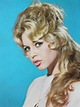 Brigitte Bardot in pictures: The best photographs of the Screen legend ...