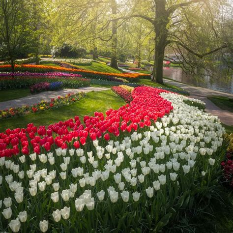 The Most Beautiful Flower Garden In The World Has No Visitors For The