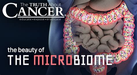 Why Healthy Gut Bacteria Is Key To Cancer Prevention
