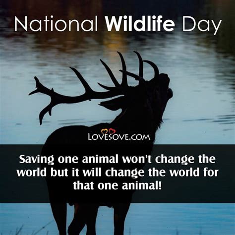 National Wildlife Day Status Quotes Thought Wishes And Images