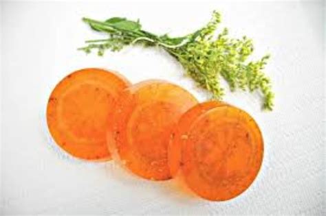 Organic Orange Peel Citrus Aurantium Dulcis Etsy