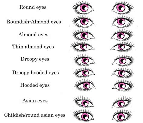 Guide To Different Eye Types Musely