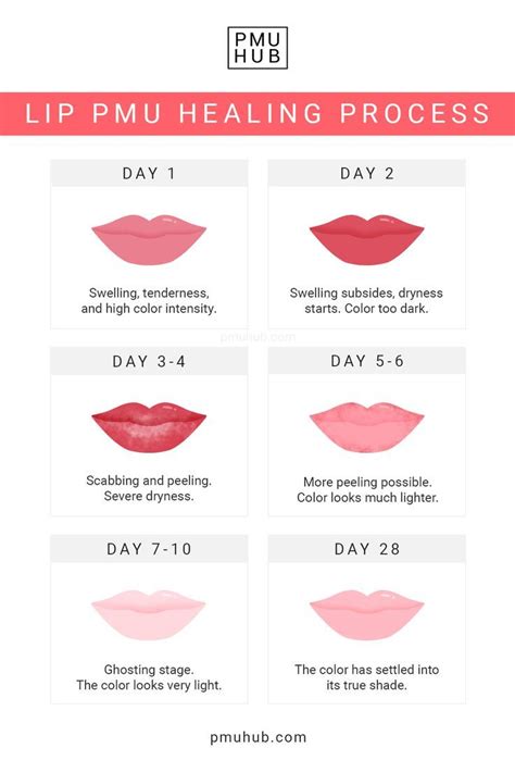 Lip Blush Healing Process Day By Day Timeline And Stages Artofit