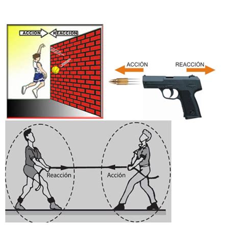 3 Ley De Newton Dibujos 10 Imagenes Brainlylat