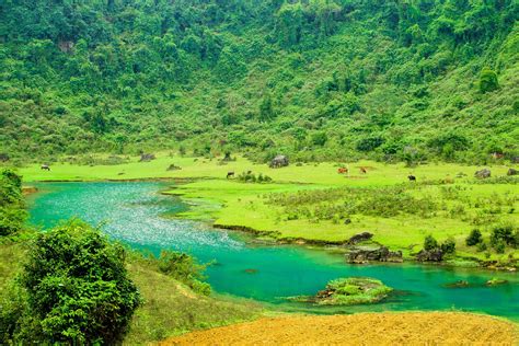 Nationalpark Phong Nha Ke Bàng Vietnam Franks Travelbox