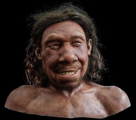 Los Neandertales Com An Aves Y Las Cocinaban Al Fuego