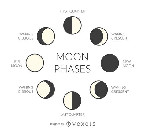Moon Phases Vector At Vectorified Com Collection Of Moon Phases