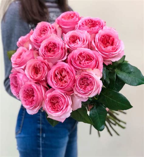 15 пионовидных роз Pink Expression Купить он лайн в интернет магазине