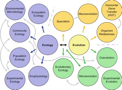 Various Perspectives On Ecology And Relationships Of Ecology With