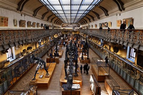 Natural History Museum Of Paris Flickr Photo Sharing
