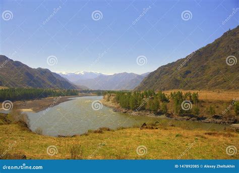 The Swift Katun River Carries Its Turquoise Waters Along The Foot Of