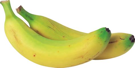 Bananas Clipart Two Picture 253777 Bananas Clipart Two