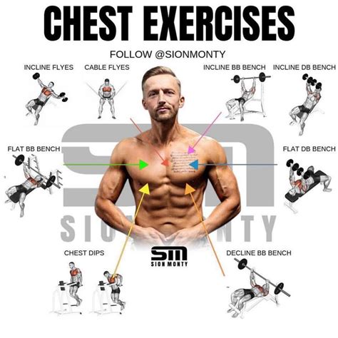 The Chest Exercises For Men Are Shown In This Graphic Above It Is An