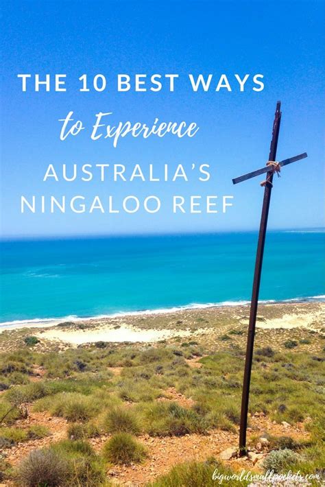 The 10 Best Ways To Experience Australias Ningaloo Reef Western