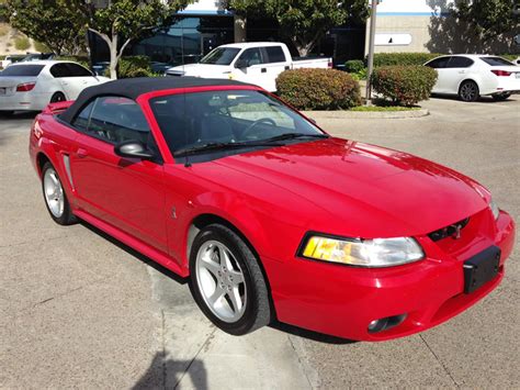 1999 Ford Mustang Svt Cobra For Sale Cc 955139