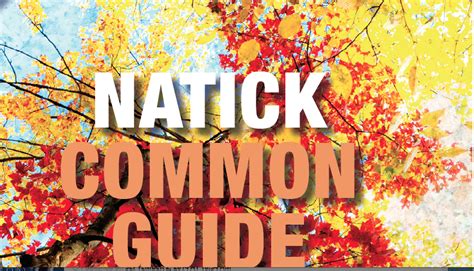 Natick Common Guide Is Out Natick Ma Patch