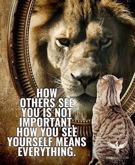 15 Motivational Quotes With Lion Pictures Train Hard Gym Quotes