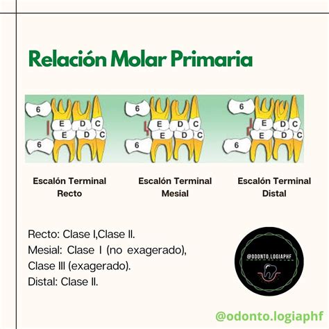 Lista 100 Foto Relacion Entre Mol Masa Molar Y Volumen Molar Mirada Tensa