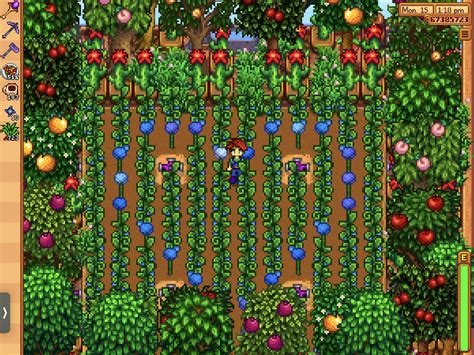 Greenhouse Sprinkler Layout Stardew