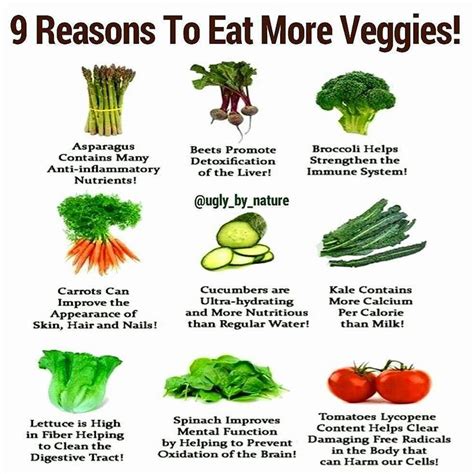 Newest 35 Vegetable Benefits