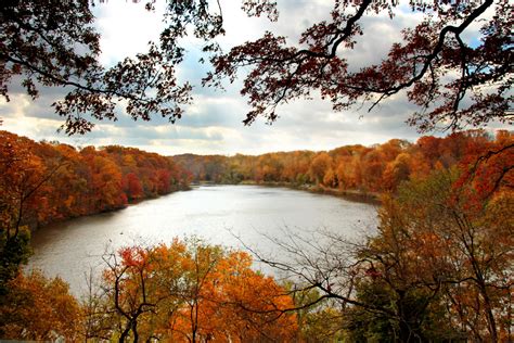 Autumn Lake View Free Stock Photo Public Domain Pictures